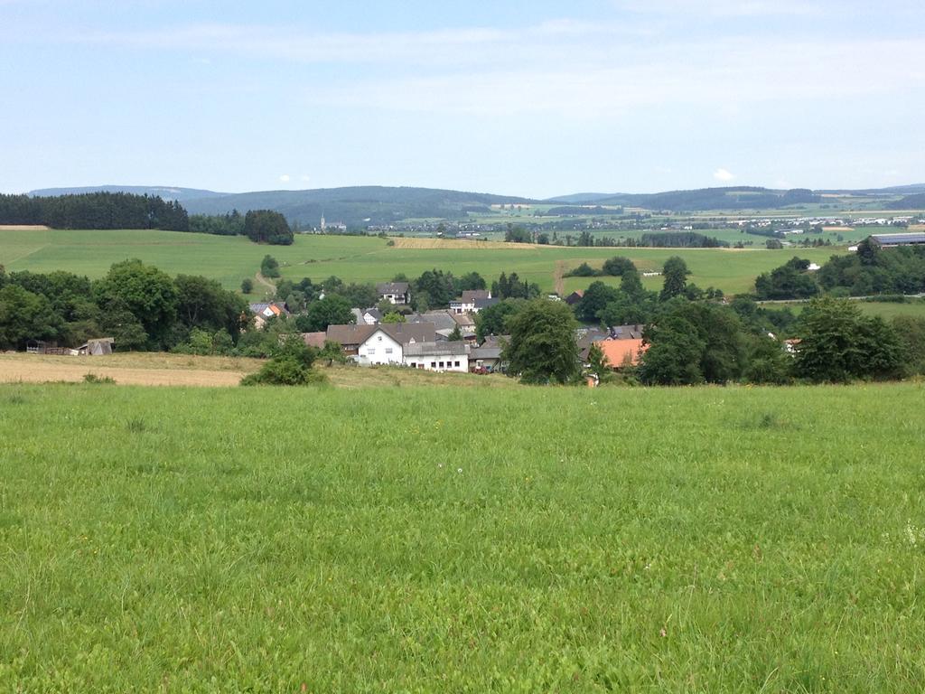 Haus Panoramablick Villa Medebach Exterior foto