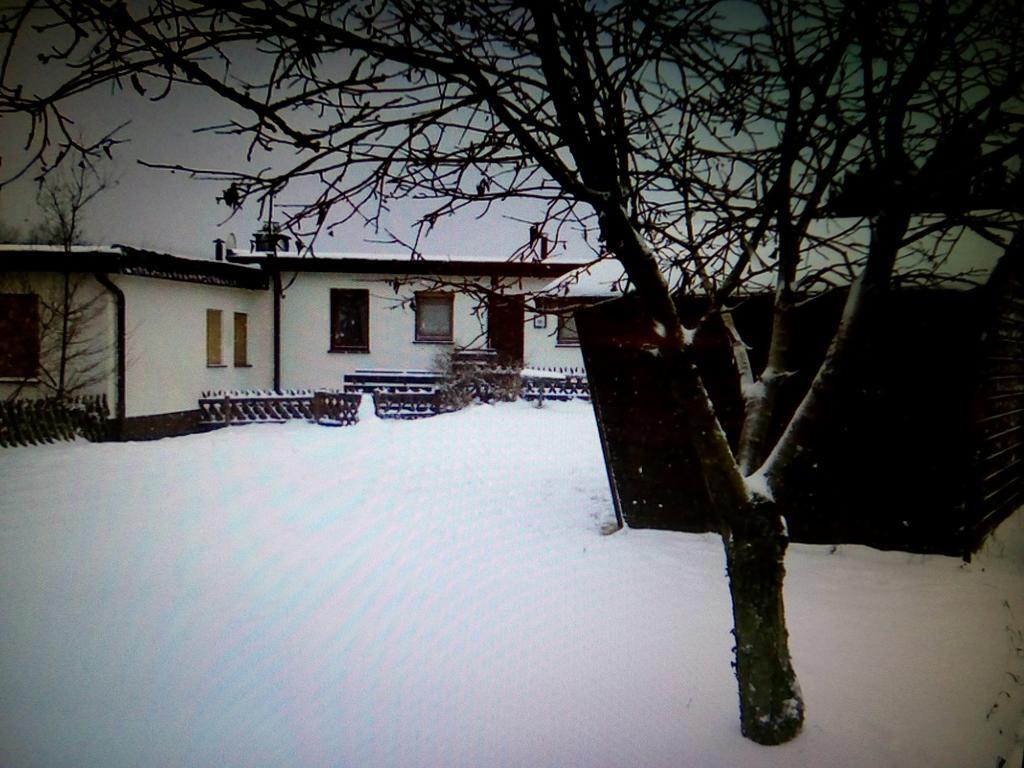 Haus Panoramablick Villa Medebach Exterior foto